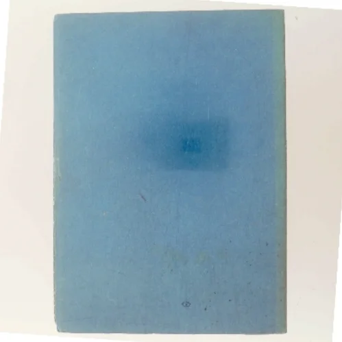 Det danske Rige i den ældre Vikingetid af Erik Kroman (Bog)