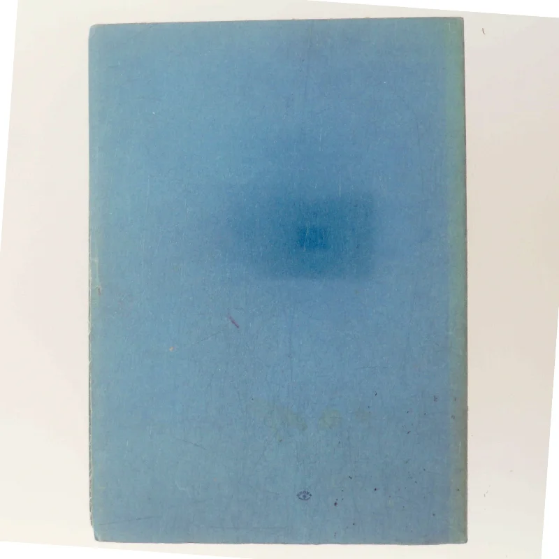 Det danske Rige i den ældre Vikingetid af Erik Kroman (Bog)