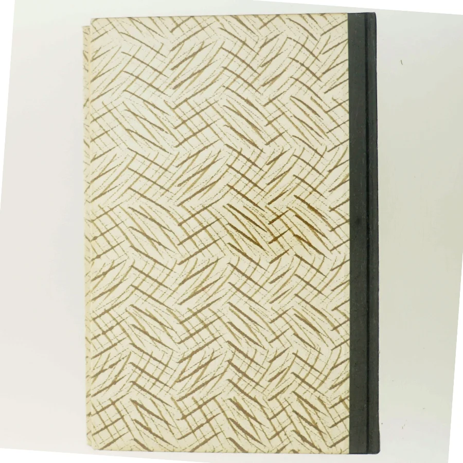 Antik bog med flot ryg og indbinding (Bog)