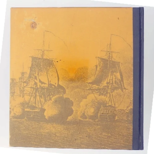 Billeder af Danmarks historie af Palle Lauring (Bog)