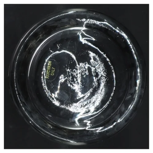 Glas vase med blomstergravering (str. 9x9 cm)