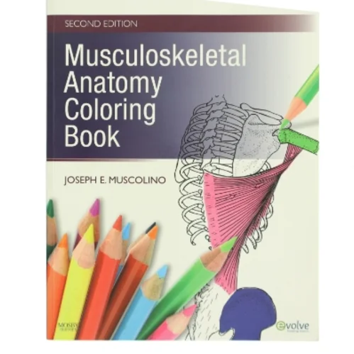 Musculoskeletal Anatomy Coloring Book af Joseph E. Muscolino (Bog)