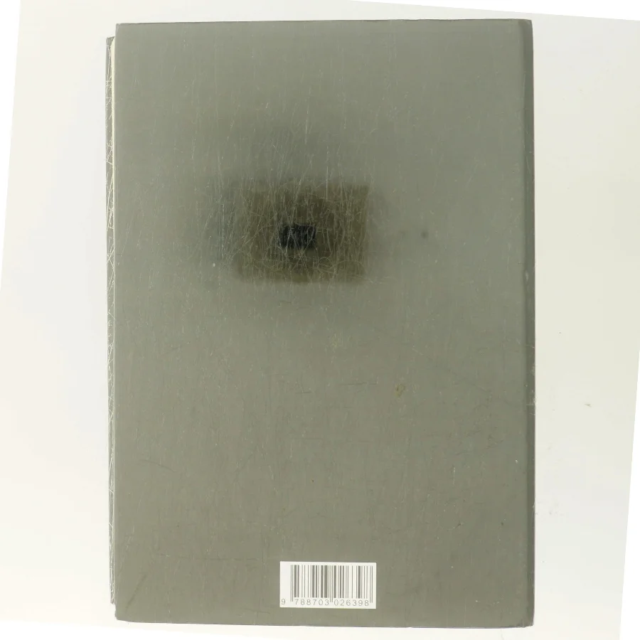 Stenhuggeren af Camilla Läckberg (Bog)