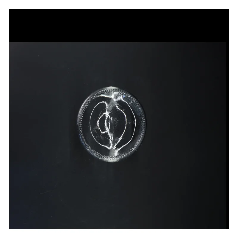 Glas vase med sneklokke motiv (str. Ø 12 cm)