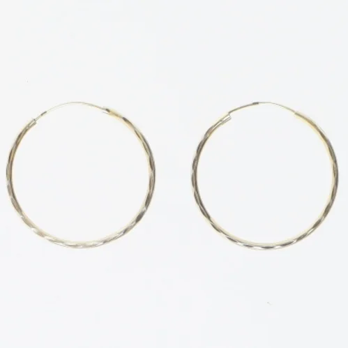 Guldstøbte hoops øreringe (str. Ø 3 cm)