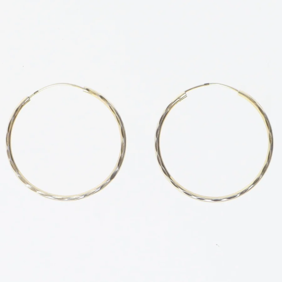 Guldstøbte hoops øreringe (str. Ø 3 cm)