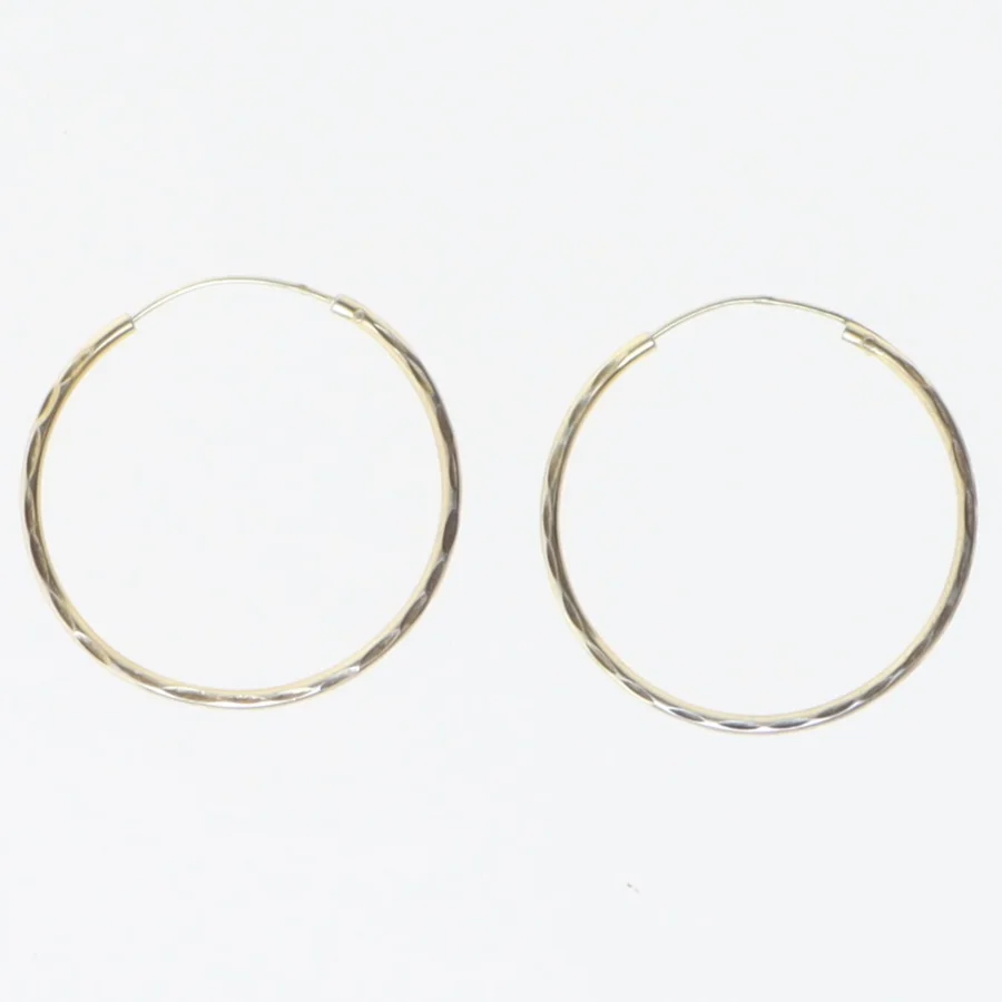 Guldstøbte hoops øreringe (str. Ø 3 cm)