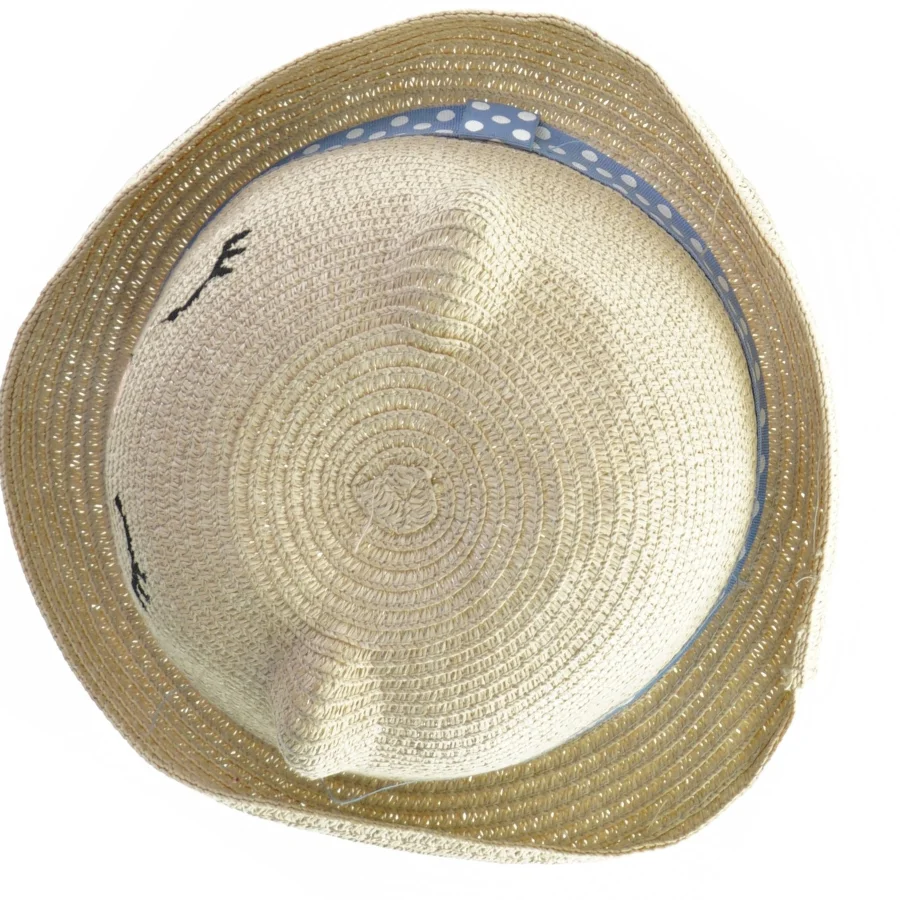 Stråhat fra H&M (str. 20 x 10 cm)