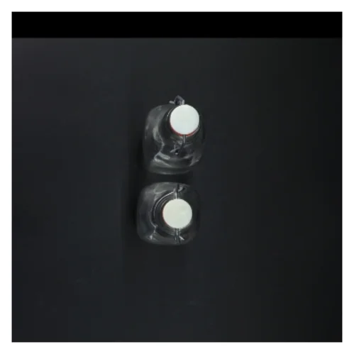 2 Glasflasker med patentl (str. 26 cm)