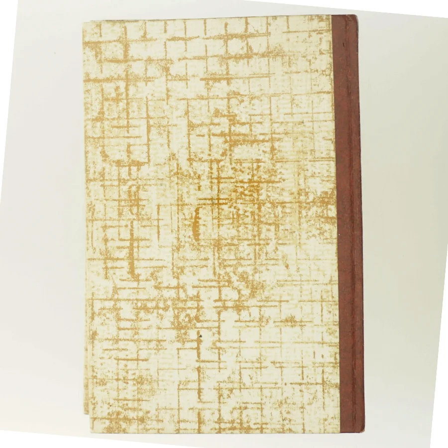 Mafia af Mario Puzo (Bog)