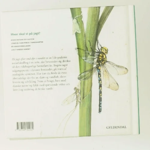 På jagt efter små dyr i vandet af Peter Nielsen (Bog)