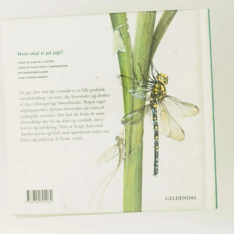 På jagt efter små dyr i vandet af Peter Nielsen (Bog)