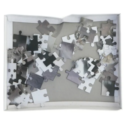 Puslespil med hund og kat (str. 60 brikker)