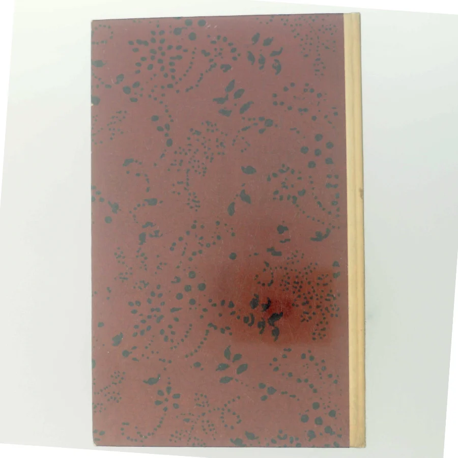 Spejlet af Edith Pio