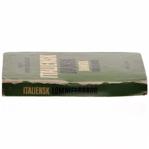 Lille Italiensk Dansk, Dansk Italiensk (Bog)