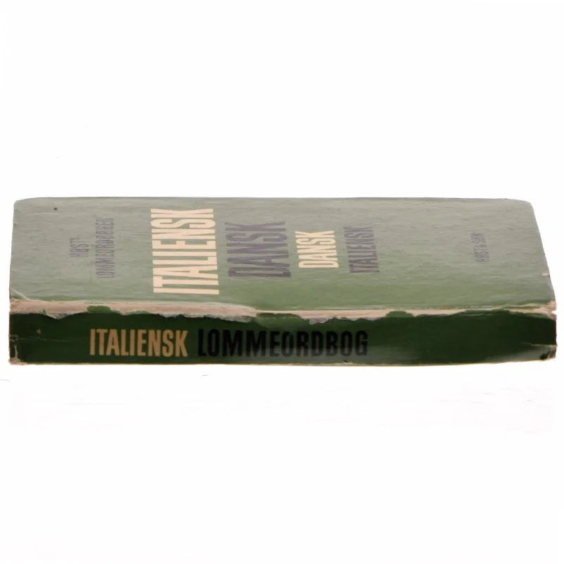 Lille Italiensk Dansk, Dansk Italiensk (Bog)