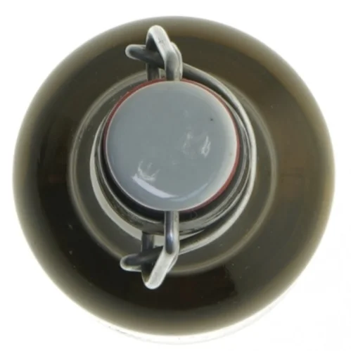 Genanvendelig flaske med patentlåg (str. 27 cm)