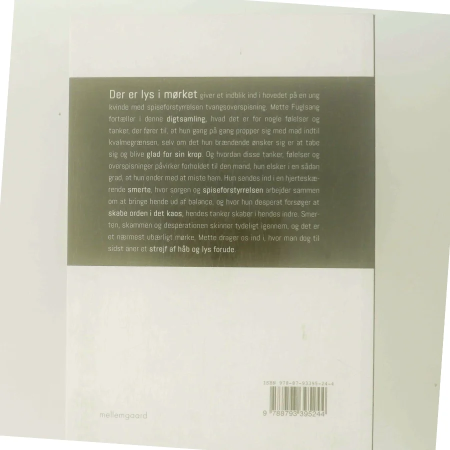 Der er lys i mørket af Mette Fuglsang (Bog)