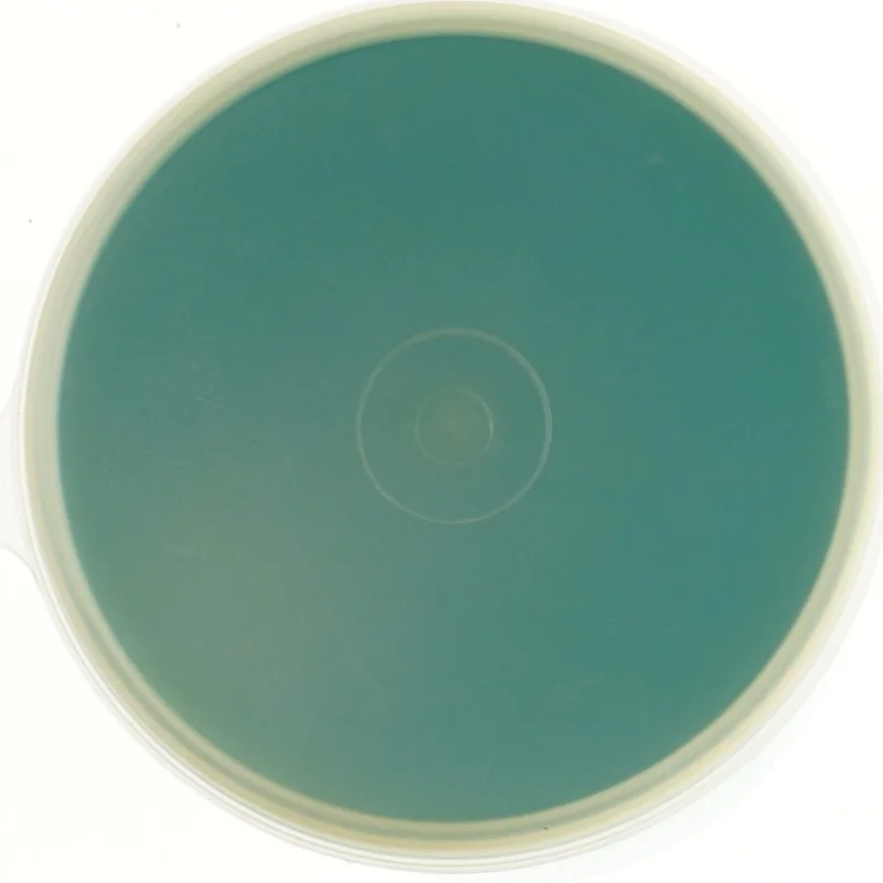 Plastbeholder med låg fra Tupperware (str. Ø 13x18 cm)