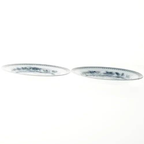 To porcelæns frokosttallerken med fuglemotiv 