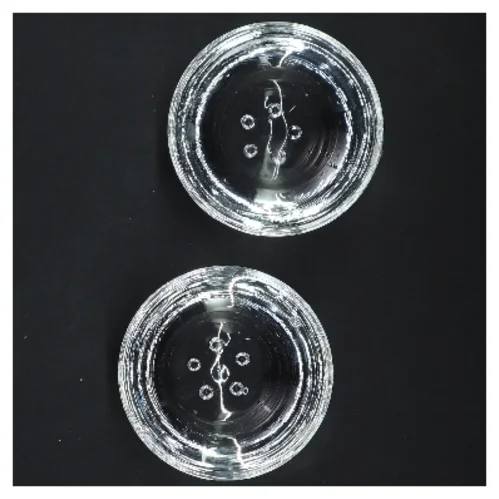 Glas fyrfadslys holdere (str. 9x4 cm)