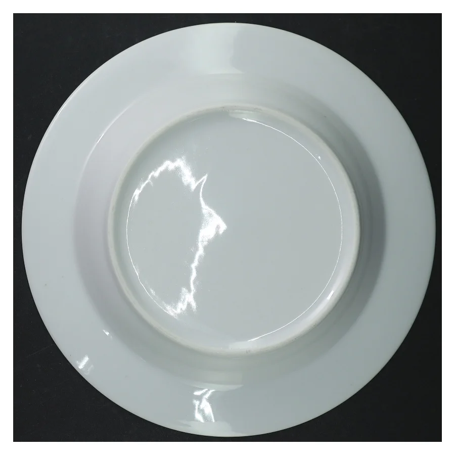Hvide porcelænstallerkener (str. 22 cm)