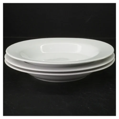 Hvide porcelænstallerkener (str. 22 cm)