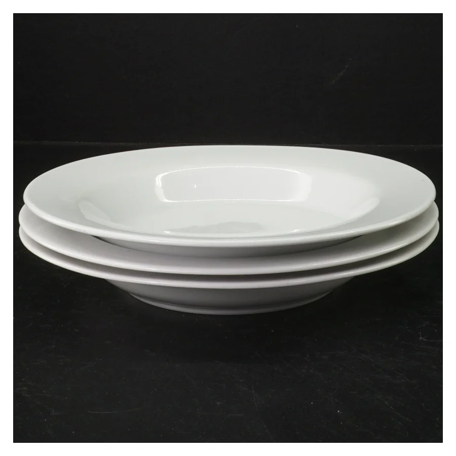 Hvide porcelænstallerkener (str. 22 cm)