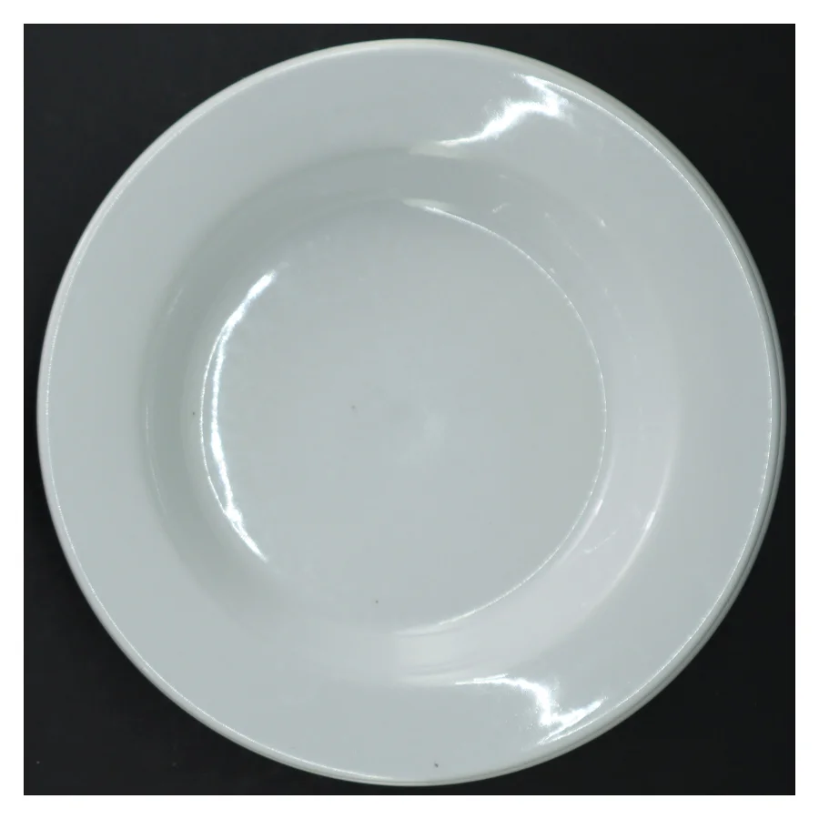 Hvide porcelænstallerkener (str. 22 cm)