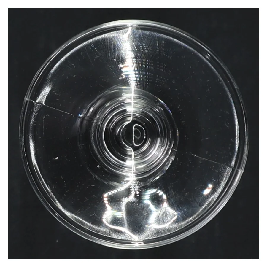 Champagneglas (6 stk) (str. 16 cm)