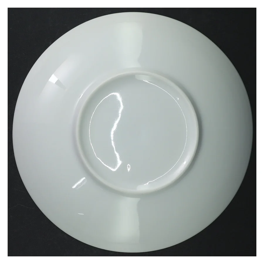 Hvide middagstallerkener (4 stk) (str. 22 cm)