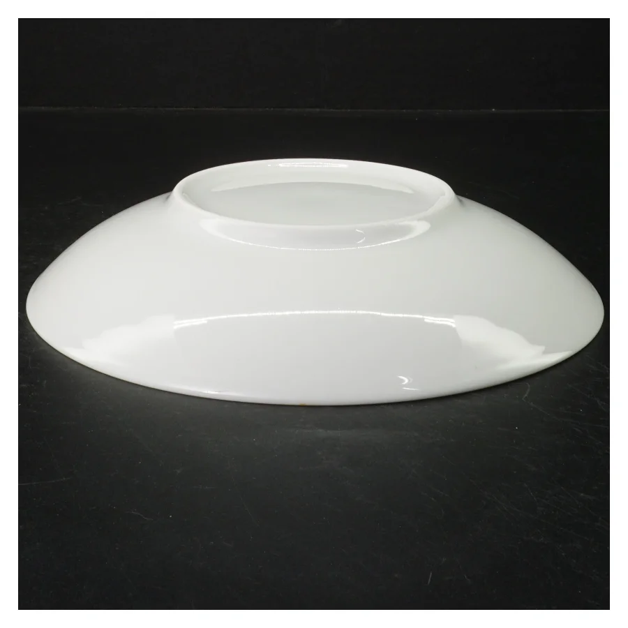 Hvide middagstallerkener (4 stk) (str. 22 cm)