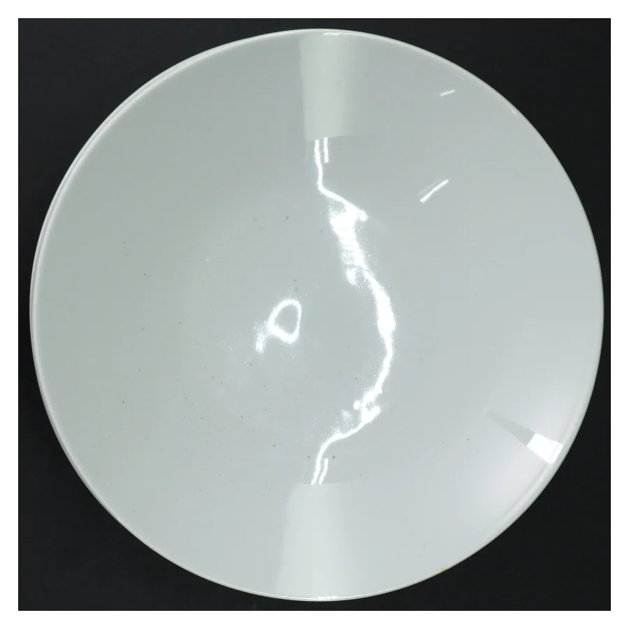 Hvide middagstallerkener (4 stk) (str. 22 cm)