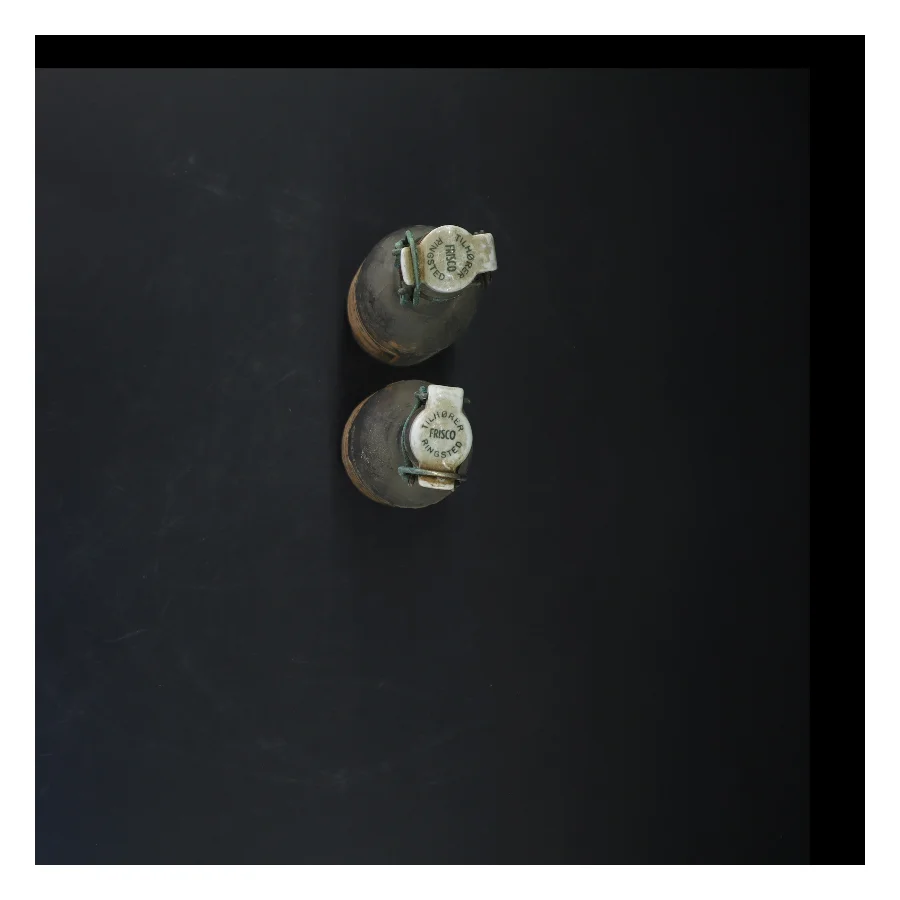 Frisco Citron Sodavandsflasker 22 cm fra Frisco (str. 22 cm. 2 styk)