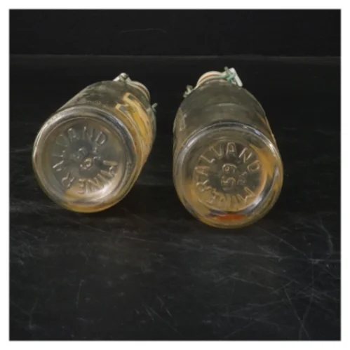 Frisco Citron Sodavandsflasker 22 cm fra Frisco (str. 22 cm. 2 styk)