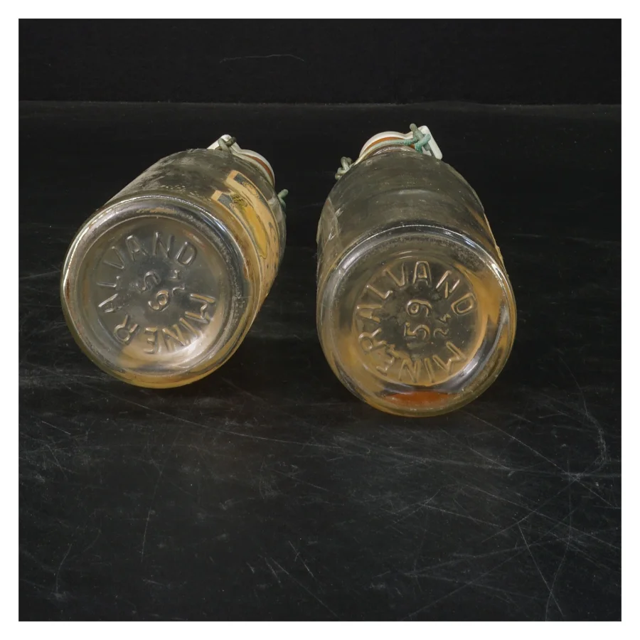 Frisco Citron Sodavandsflasker 22 cm fra Frisco (str. 22 cm. 2 styk)