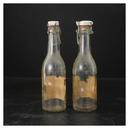 Frisco Citron Sodavandsflasker 22 cm fra Frisco (str. 22 cm. 2 styk)