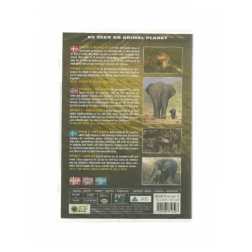 Animal life - Young & Wild (DVD)