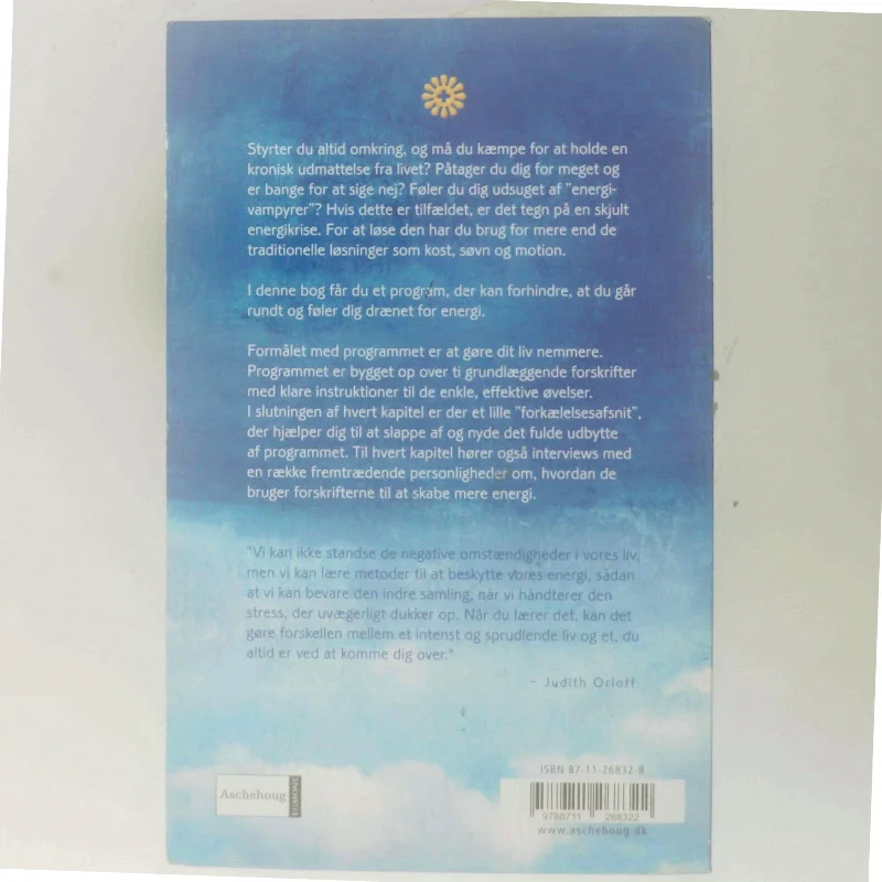 Positiv energi : 10 forskrifter til at transformere udmattelse, stress og frygt til livsglæde, styrke og kærlighed af Judith Orloff (Bog)
