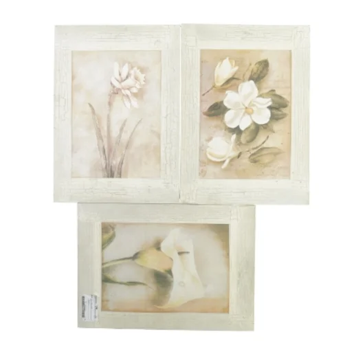 Billeder (str. 35 x 25 x 1 cm)