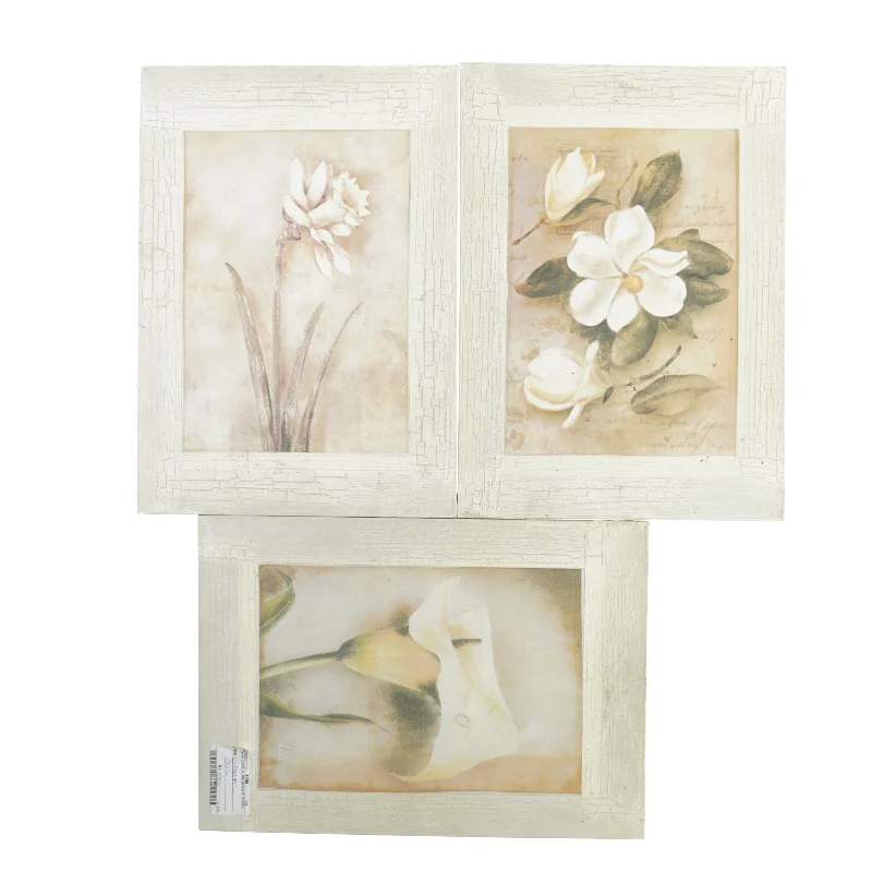 Billeder (str. 35 x 25 x 1 cm)