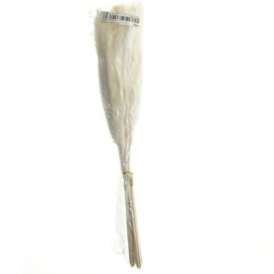 Pampasgræs dekorationssæt (str. 20 styk. 44 cm)