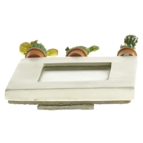 Cactus fotoramme (str. 8x8 cm)