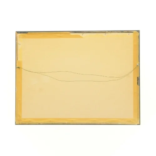 Indrammet kunsttryk (str. 40 x 30,5 cm)