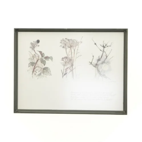 Indrammet kunsttryk (str. 40 x 30,5 cm)