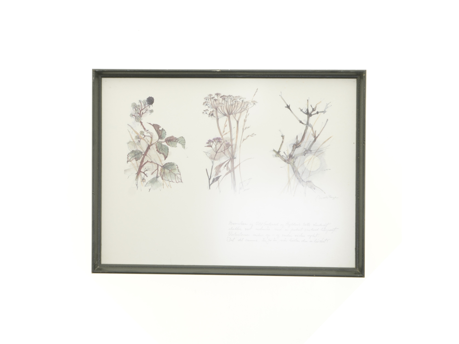 Indrammet kunsttryk (str. 40 x 30,5 cm)