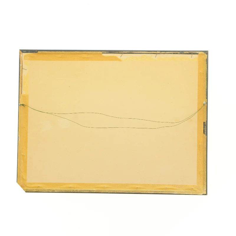 Indrammet kunsttryk (str. 40 x 30,5 cm)