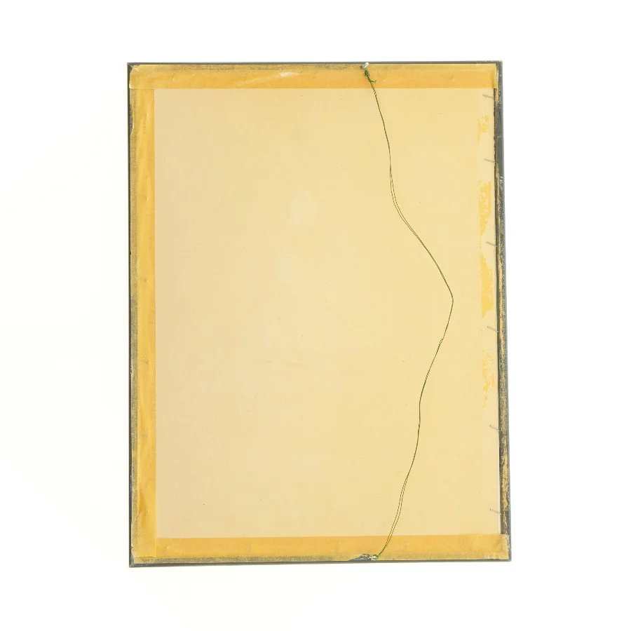 Indrammet botanisk plakat (str. 40 x 30,5 cm)
