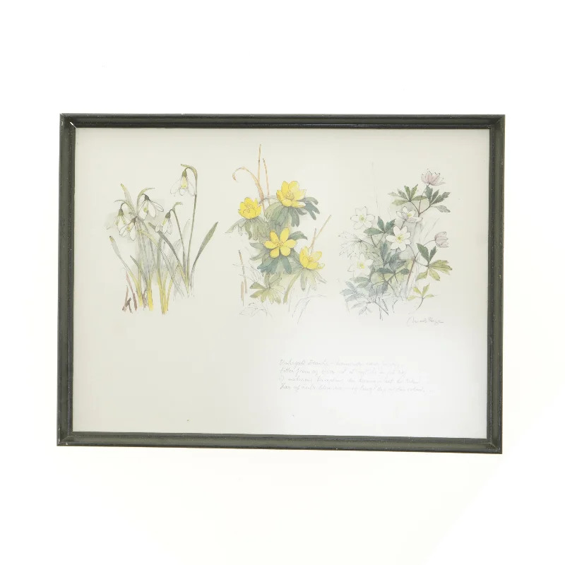 Indrammet botanisk tryk (str. 40 x 30,5 cm)
