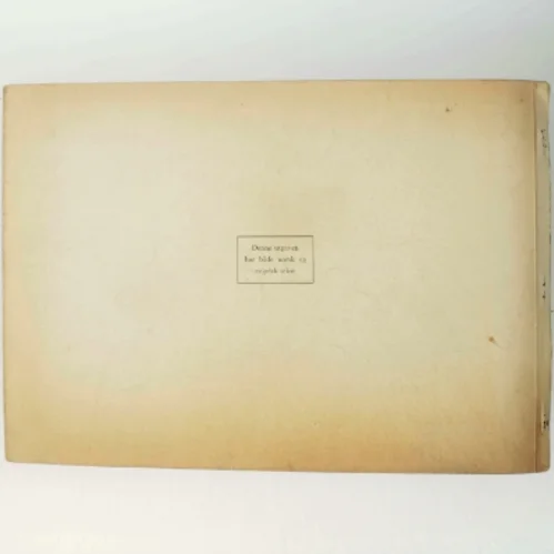 Endelig! 30 Jubeldøgn af Norges Historie bog